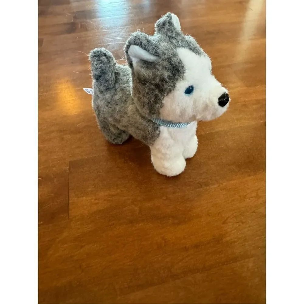 American girl, dog husky